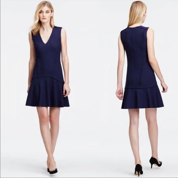 Ann Taylor Petite Navy Boiled Wool Sleeveless V neck Flounce Dress, Size 4P - Picture 2 of 14